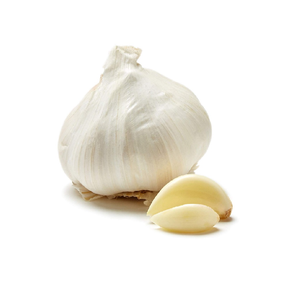 Leek, Onion & Garlic